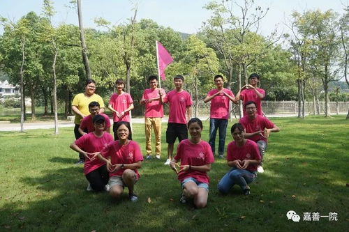 骄阳下的拓展训练