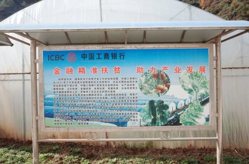 扶贫无小事,走进工行扶贫人的一天