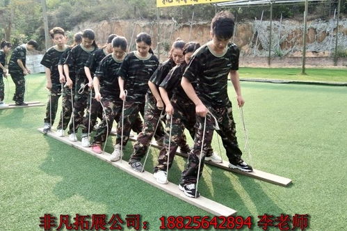 丰顺阳江海岛拓展训练,阳江拓展 次去这家拓展公司效果当真不错,阳江野外拓展培训