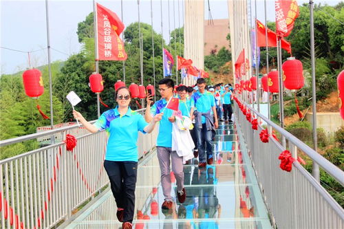 常州团建活动服务 常州团建活动方案定制 龙凤谷拓展团建中心