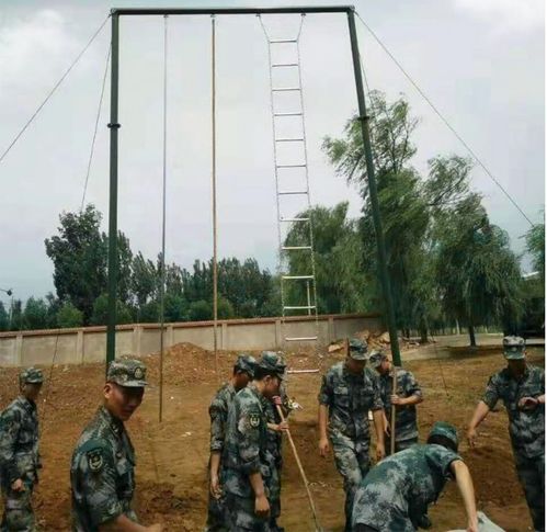 庆阳攀爬训练架厂家介绍