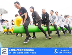 企业团队拓展 团队拓展 芜湖凯朋拓展训练 查看