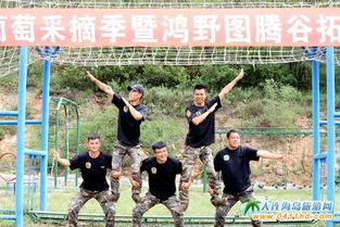 葡萄飘香喜丰收，采摘休闲正当时——大连鸿野庄园葡萄园拓展训练体验