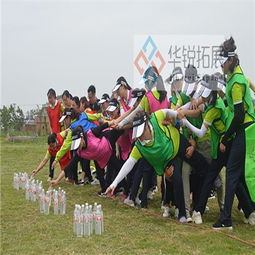 盐城向上拓展训练 打造卓越团队，铸就企业未来