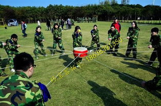 中国青少年与拓展训练的不解之缘河南青少年拓展培训