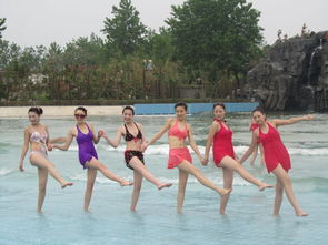 莲花温泉拓展训练 融合休闲与团队建设的创新之旅